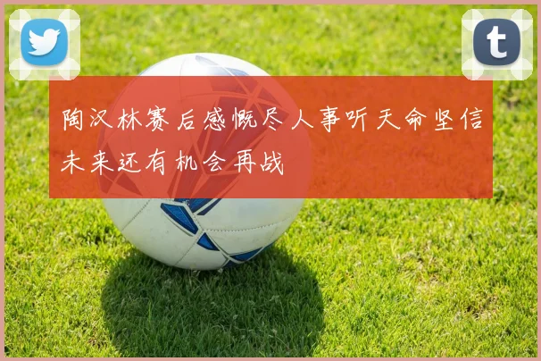 陶汉林赛后感慨尽人事听天命坚信未来还有机会再战